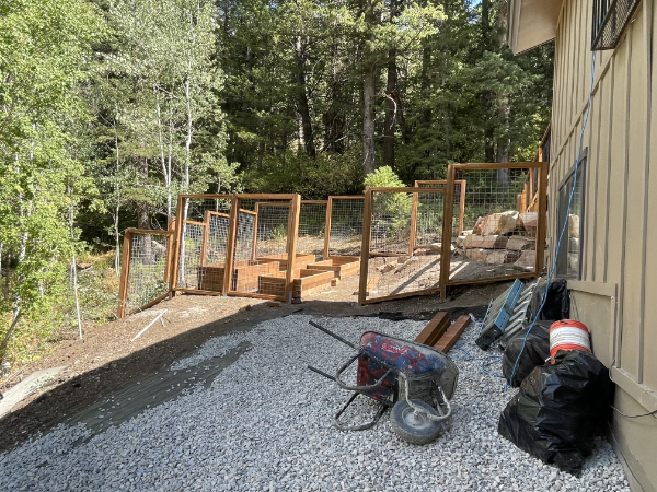 Backyard and garden after landscaping