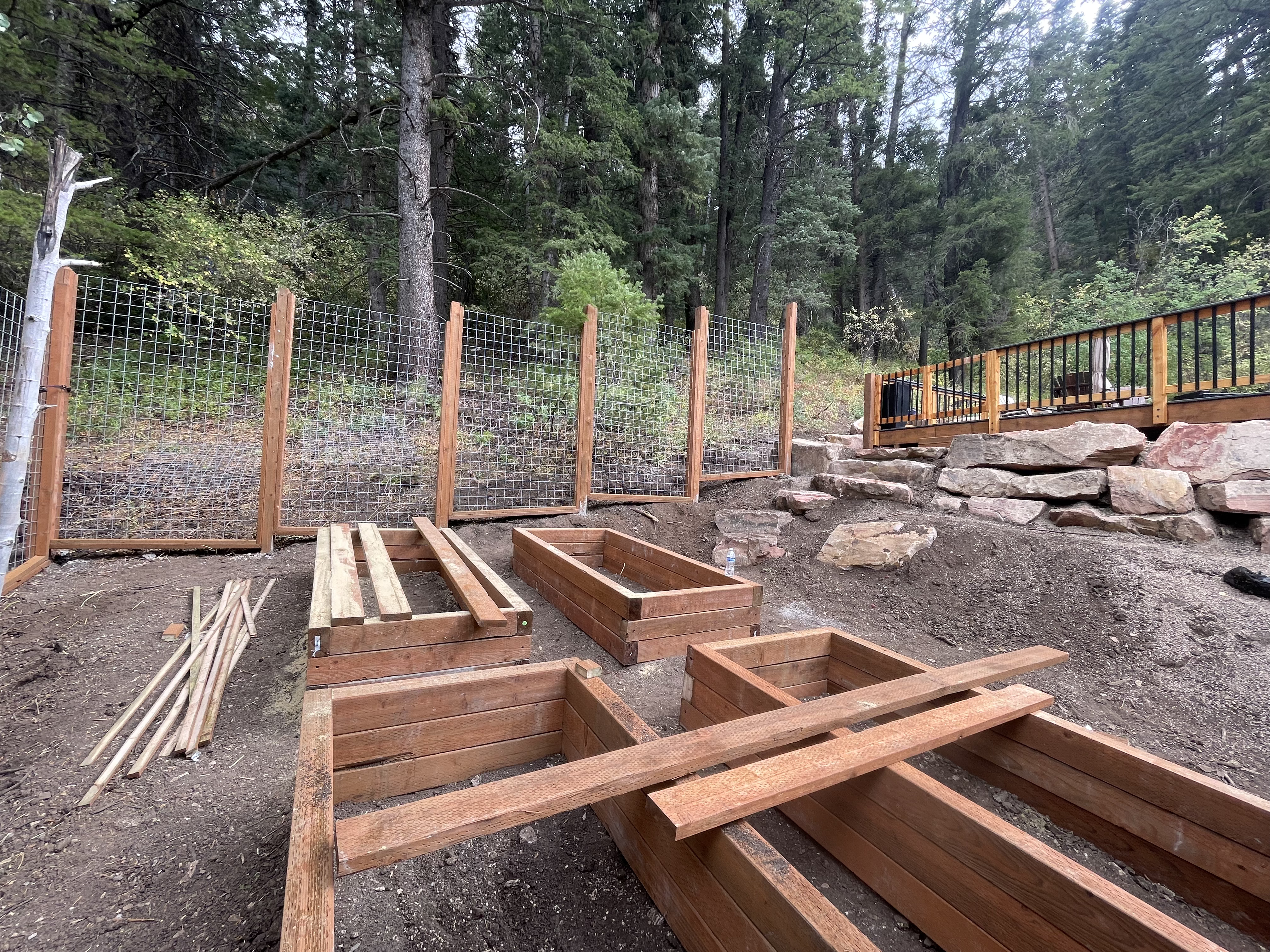 Inside the gardent area